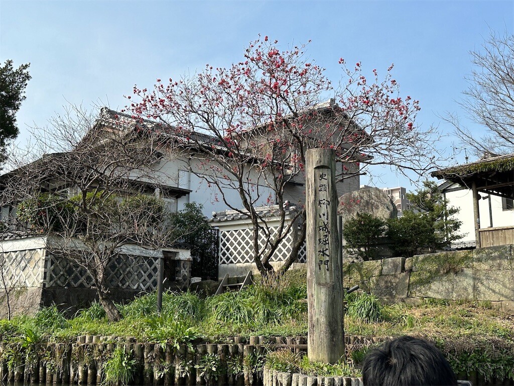 f:id:aladin_a4:20230312215605j:image