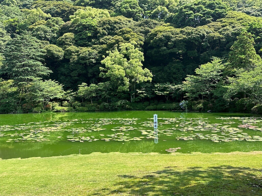 f:id:aladin_a4:20230619102524j:image