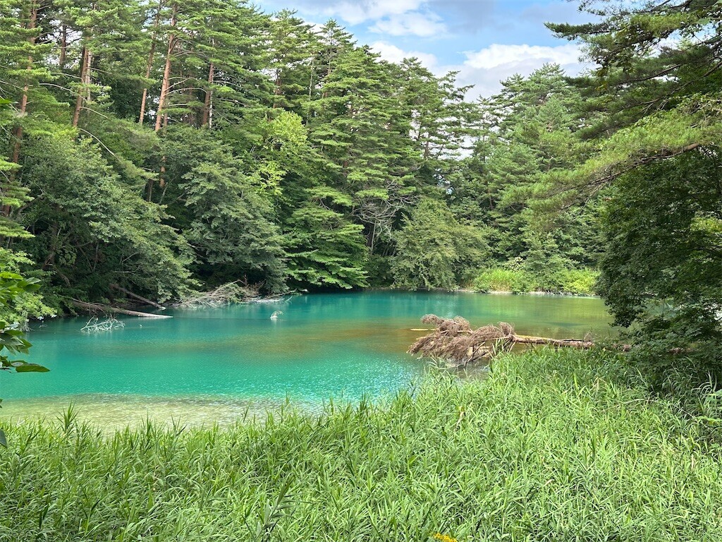 f:id:aladin_a4:20230817123731j:image