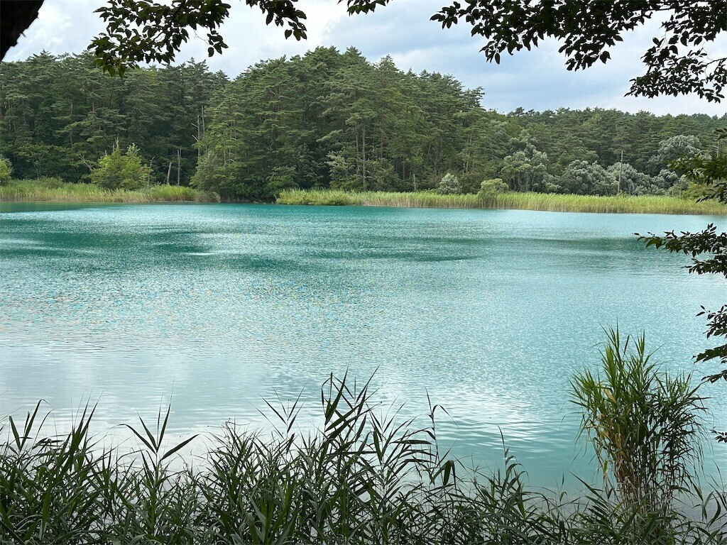 f:id:aladin_a4:20230817123738j:image