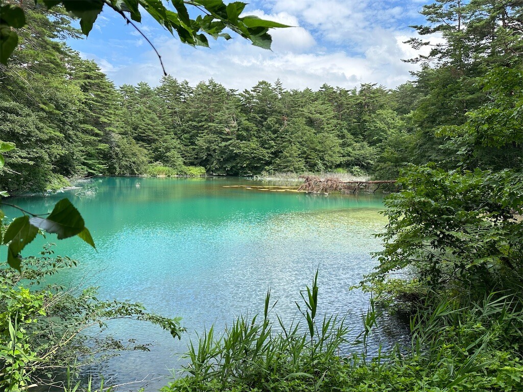 f:id:aladin_a4:20230817123742j:image
