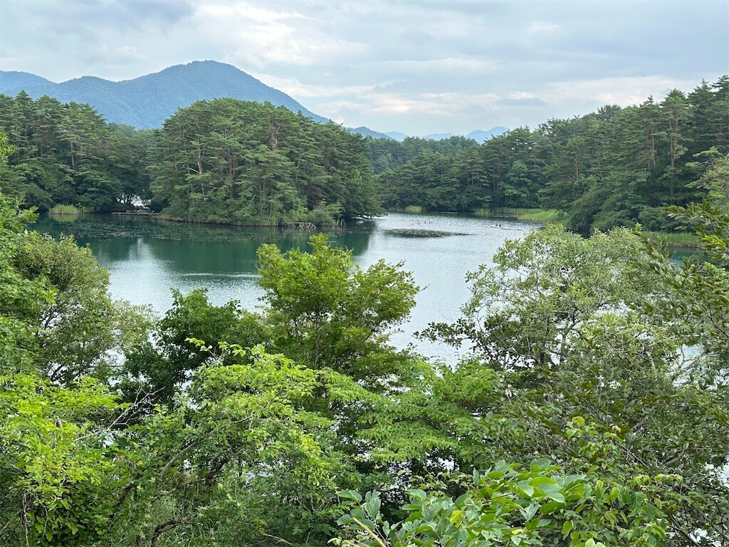 f:id:aladin_a4:20230817123804j:image