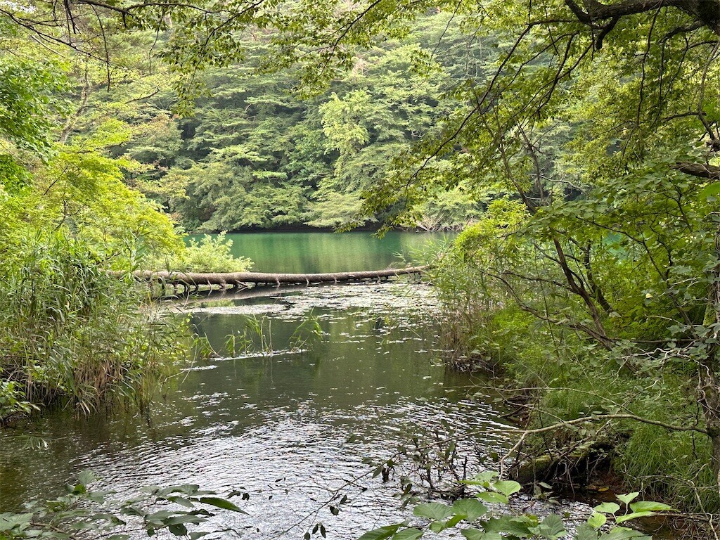 f:id:aladin_a4:20230817123808j:image