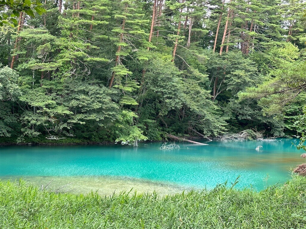 f:id:aladin_a4:20230817123815j:image