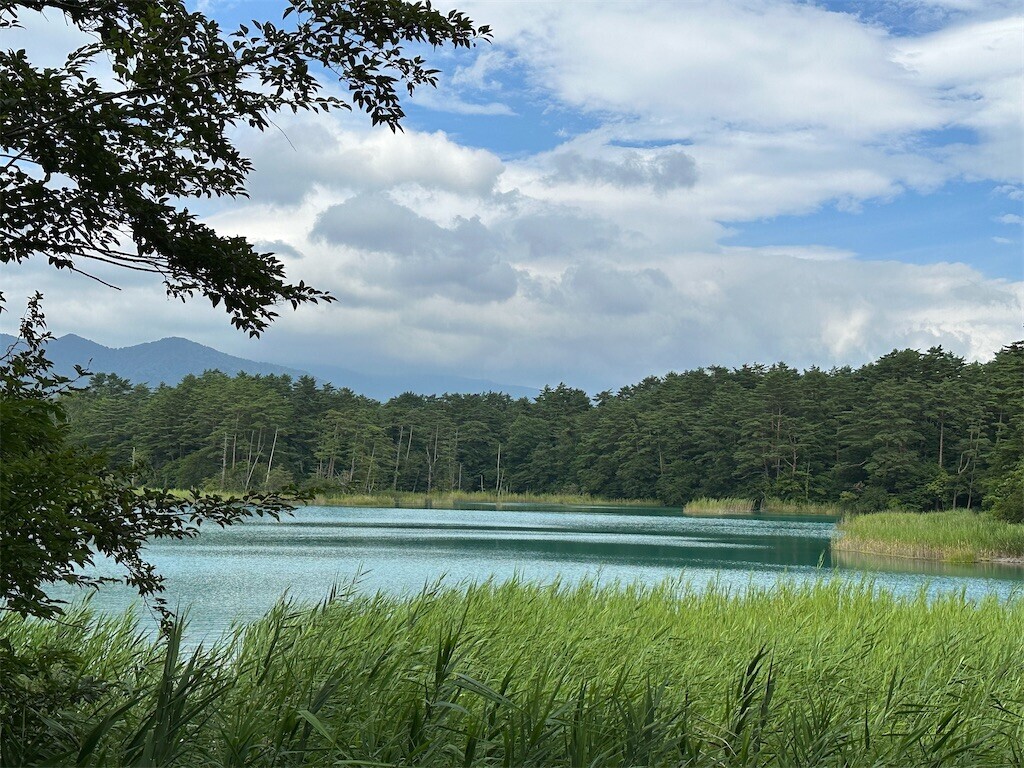 f:id:aladin_a4:20230817123830j:image