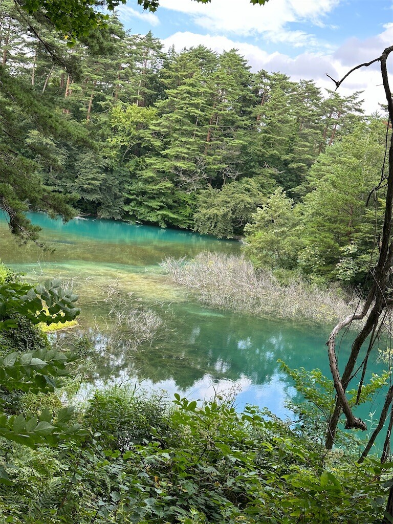 f:id:aladin_a4:20230817123905j:image