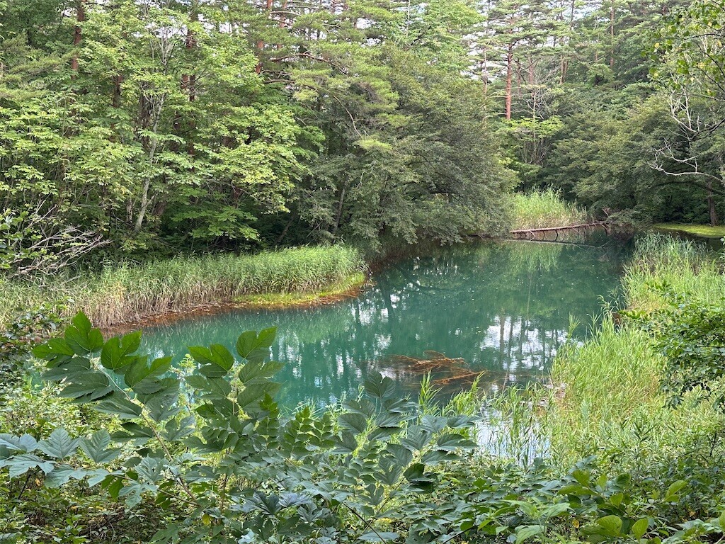 f:id:aladin_a4:20230817123916j:image