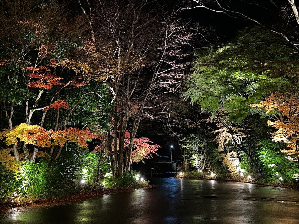f:id:aladin_a4:20231203215152j:image