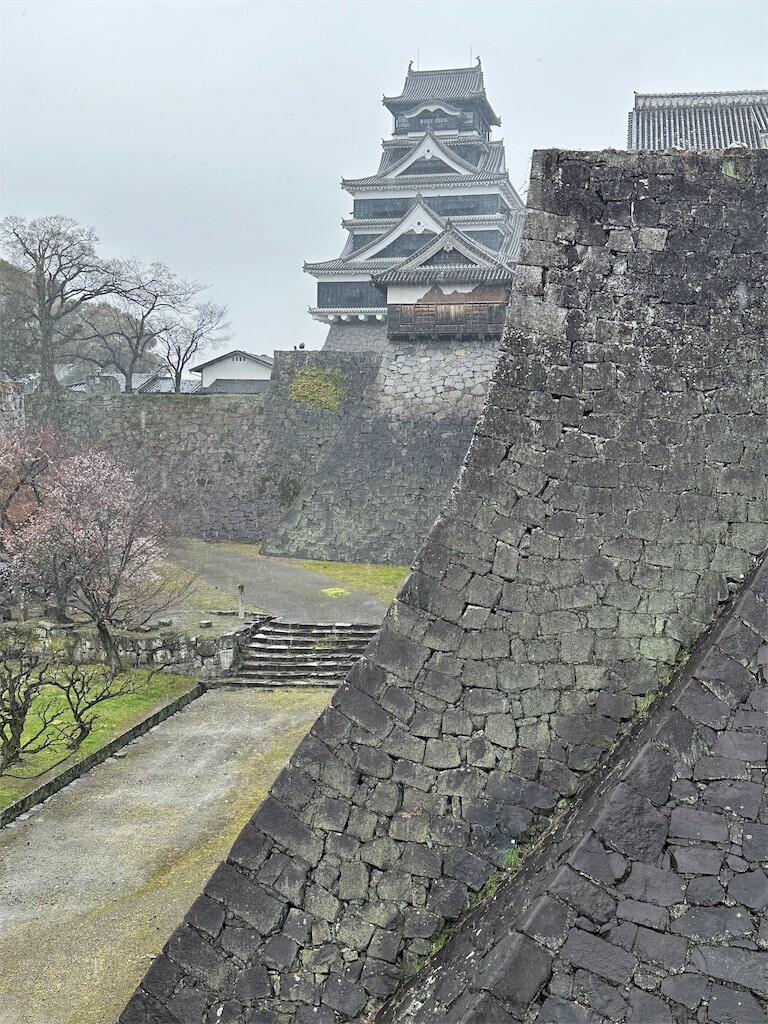 f:id:aladin_a4:20240317171824j:image
