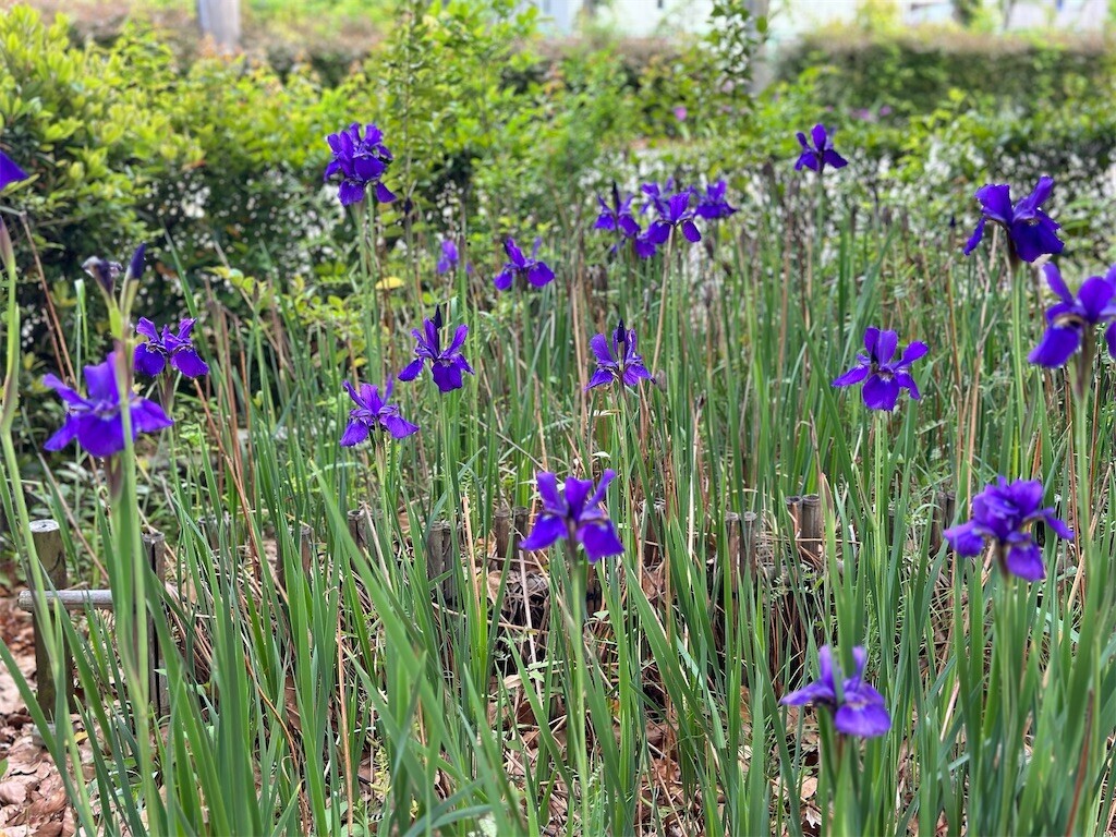 f:id:aladin_a4:20240428230940j:image f:id:aladin_a4:20240428230940j:image