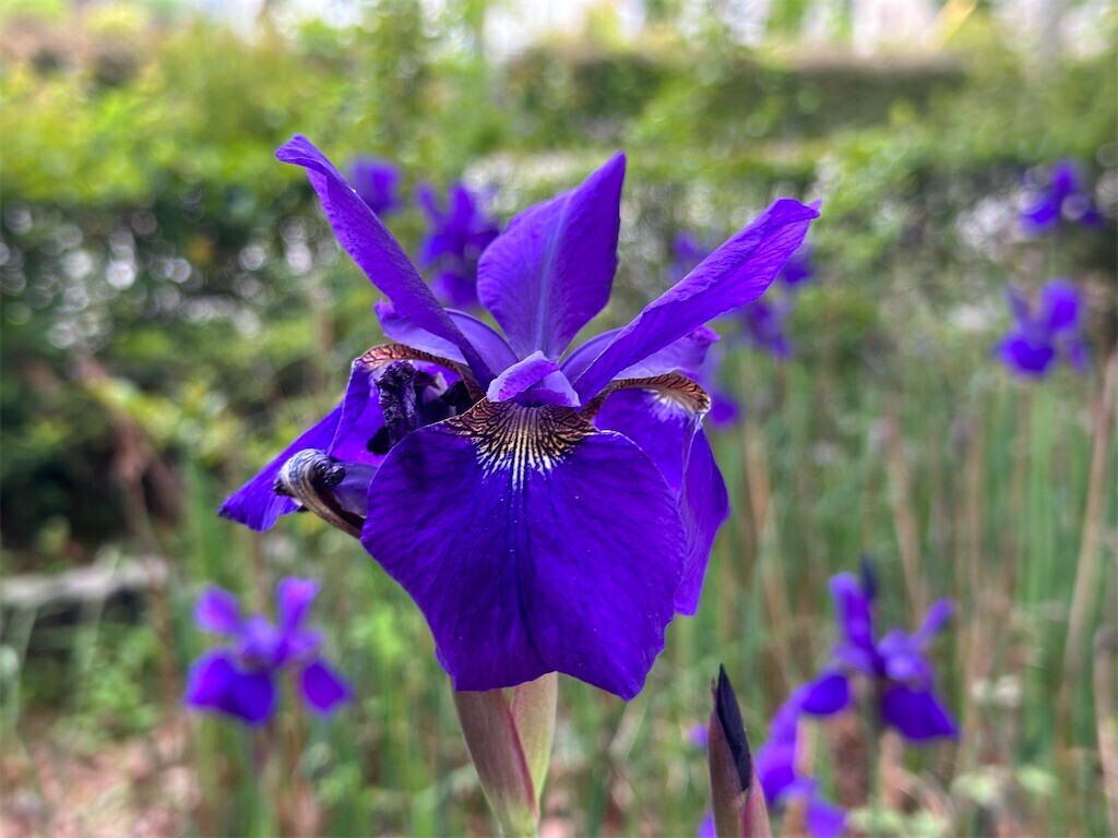 f:id:aladin_a4:20240428230946j:image f:id:aladin_a4:20240428230946j:image