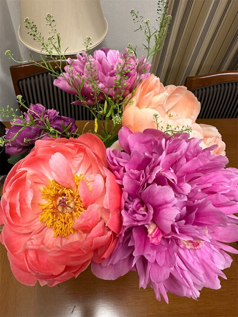 f:id:aladin_a4:20240523213726j:image