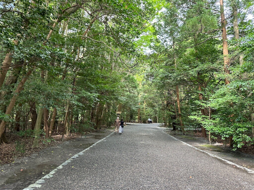 f:id:aladin_a4:20240720154808j:image