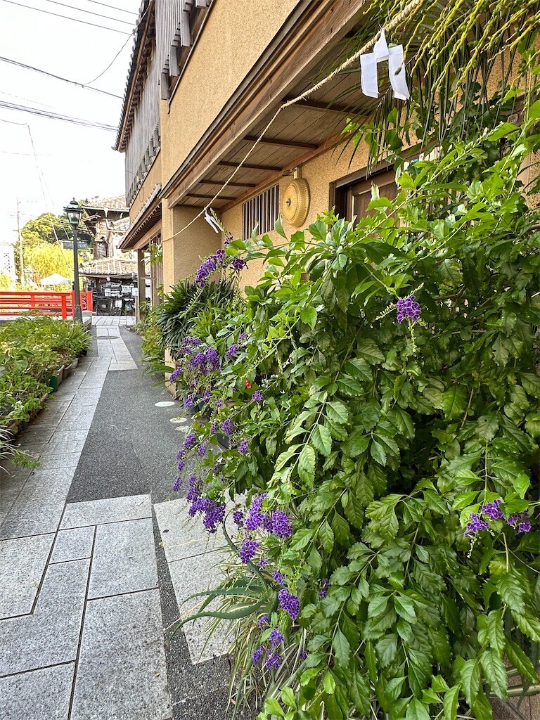 f:id:aladin_a4:20240814045119j:image