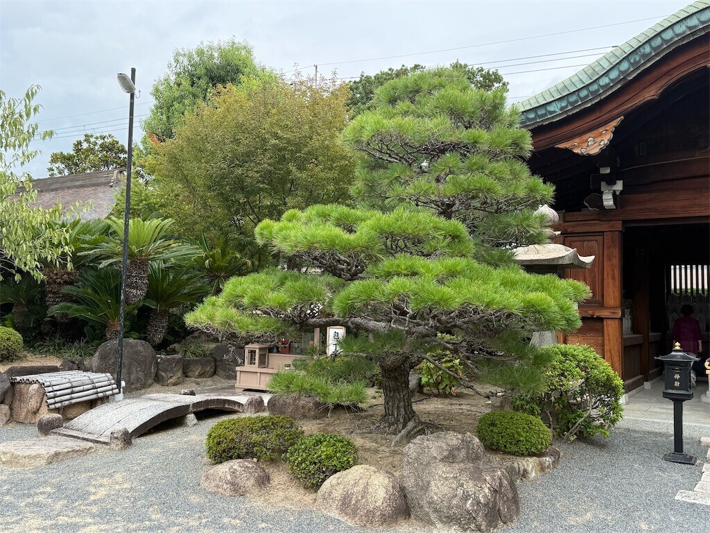 f:id:aladin_a4:20250926190154j:image