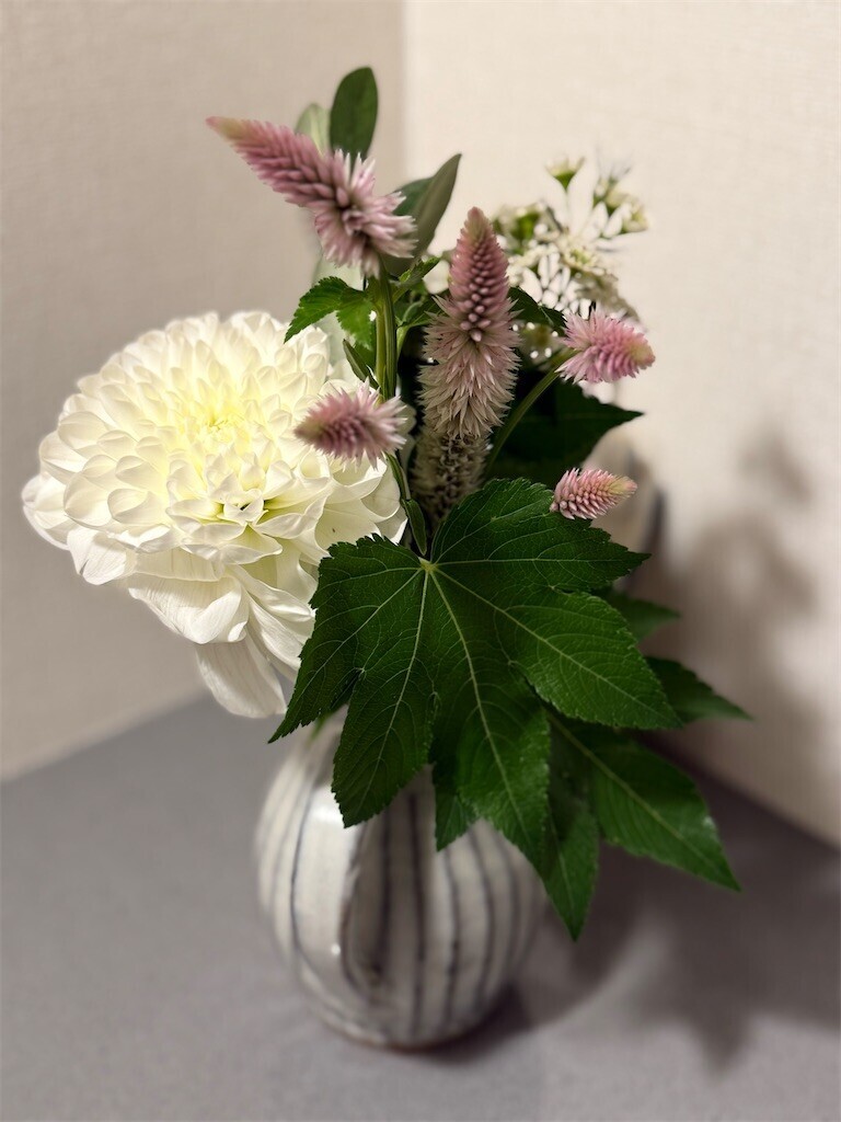 f:id:aladin_a4:20251008140222j:image