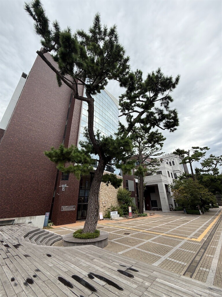 f:id:aladin_a4:20251019171734j:image