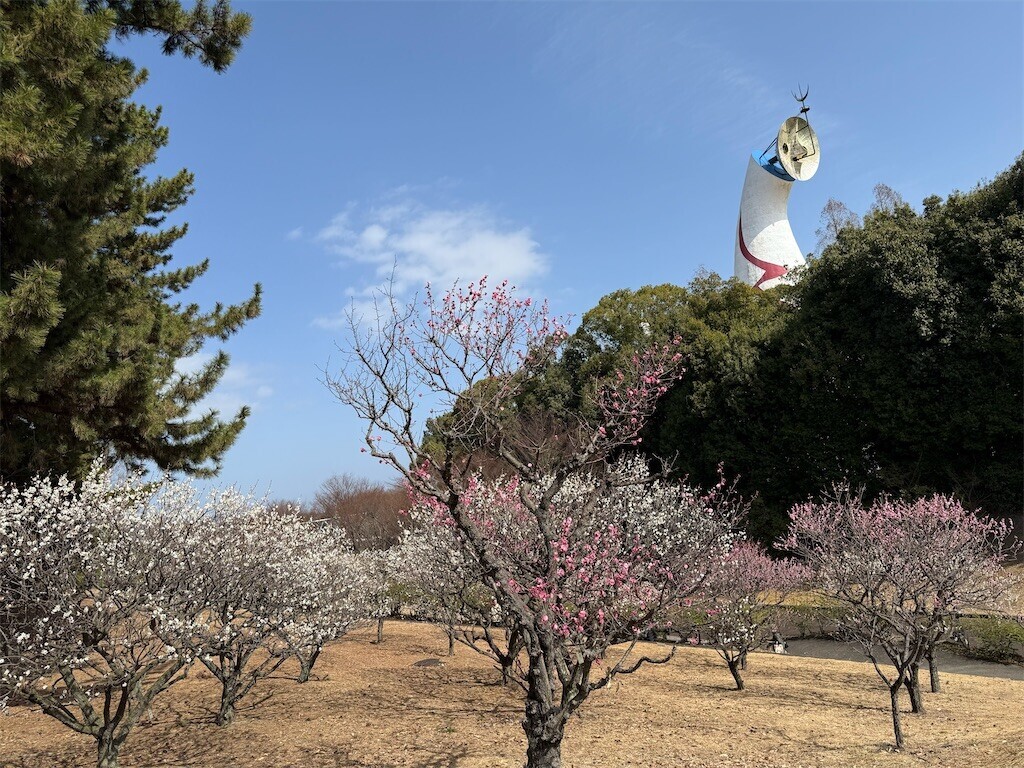 f:id:aladin_a4:20260223120347j:image