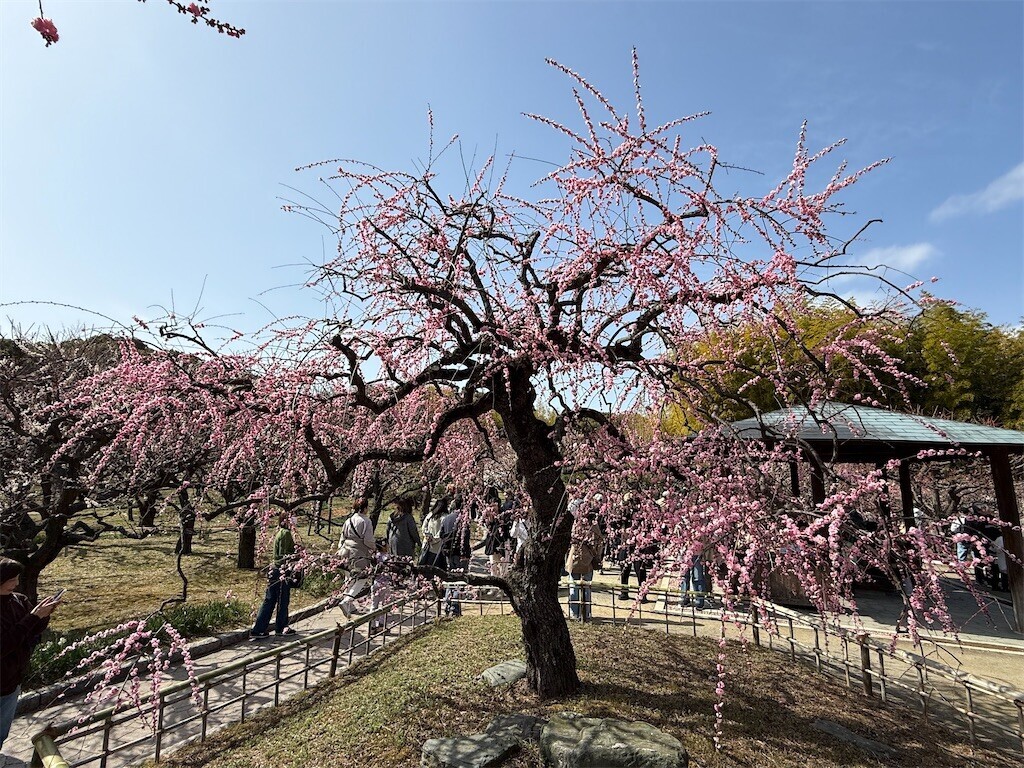 f:id:aladin_a4:20260223120406j:image