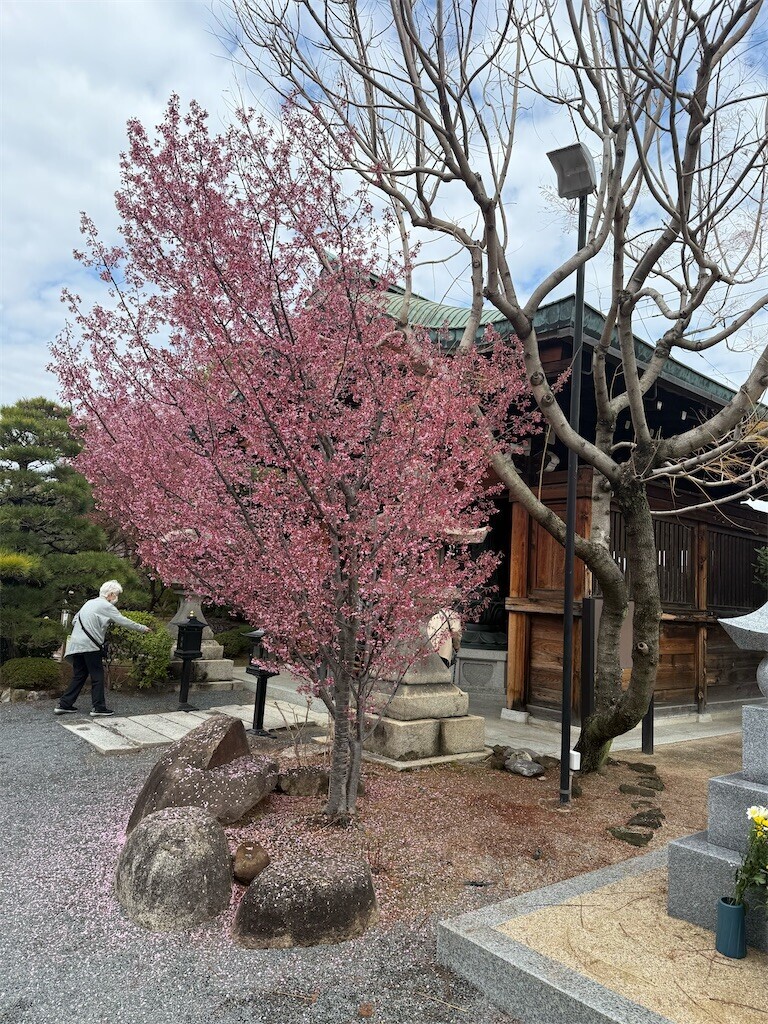 f:id:aladin_a4:20260324063805j:image