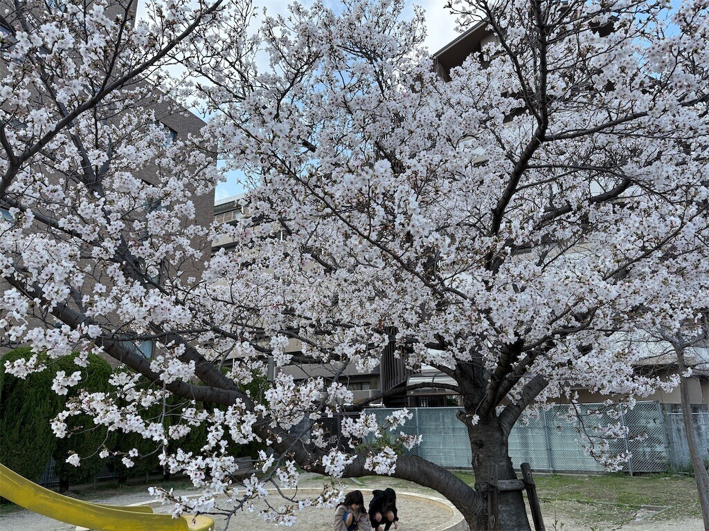 f:id:aladin_a4:20260402190915j:image