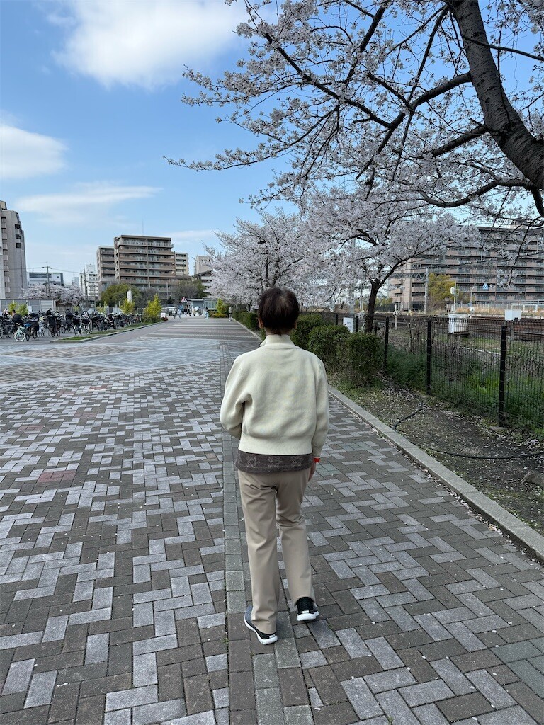 f:id:aladin_a4:20260402190919j:image
