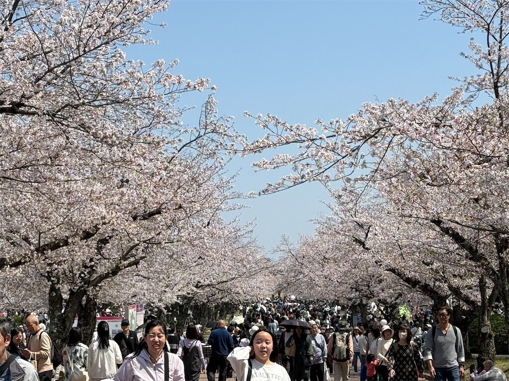 f:id:aladin_a4:20260403141154j:image