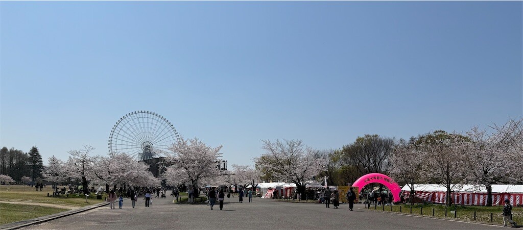 f:id:aladin_a4:20260403141157j:image