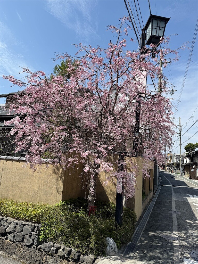 f:id:aladin_a4:20260406232440j:image