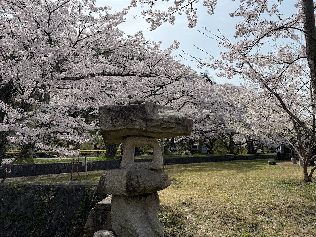 f:id:aladin_a4:20260406232443j:image