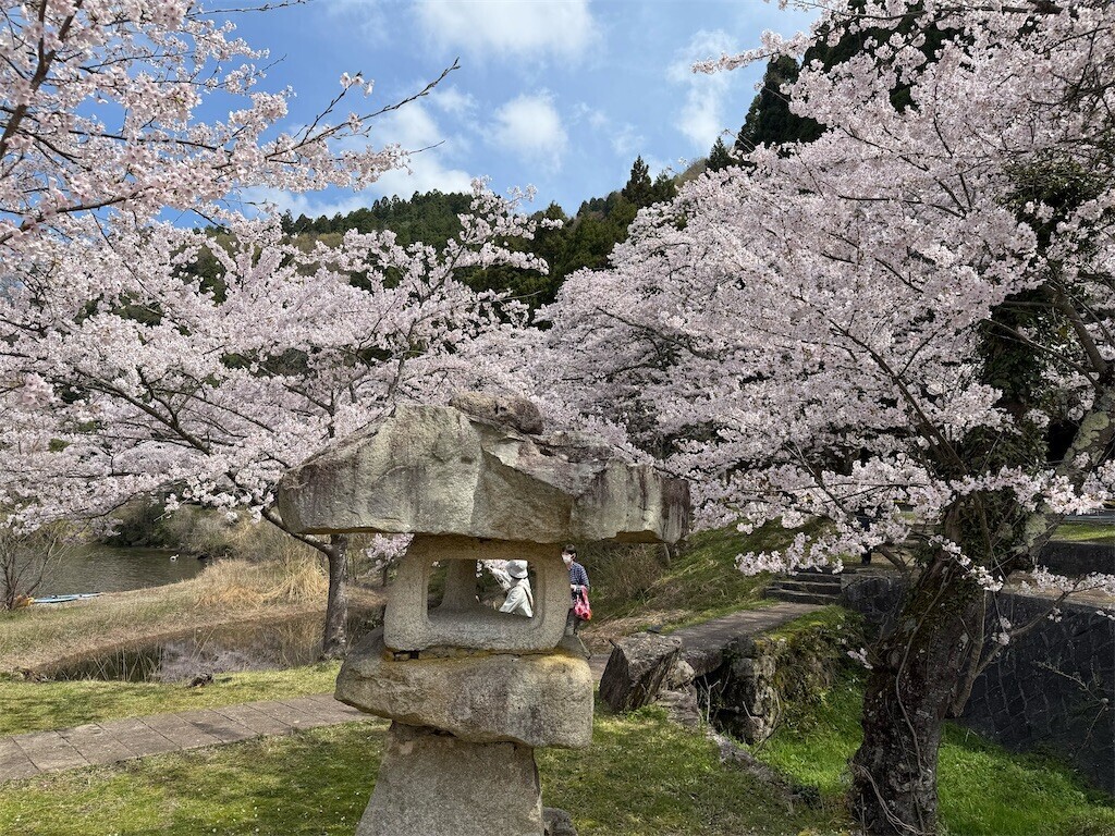 f:id:aladin_a4:20260406232446j:image