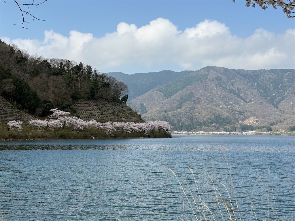 f:id:aladin_a4:20260406232449j:image