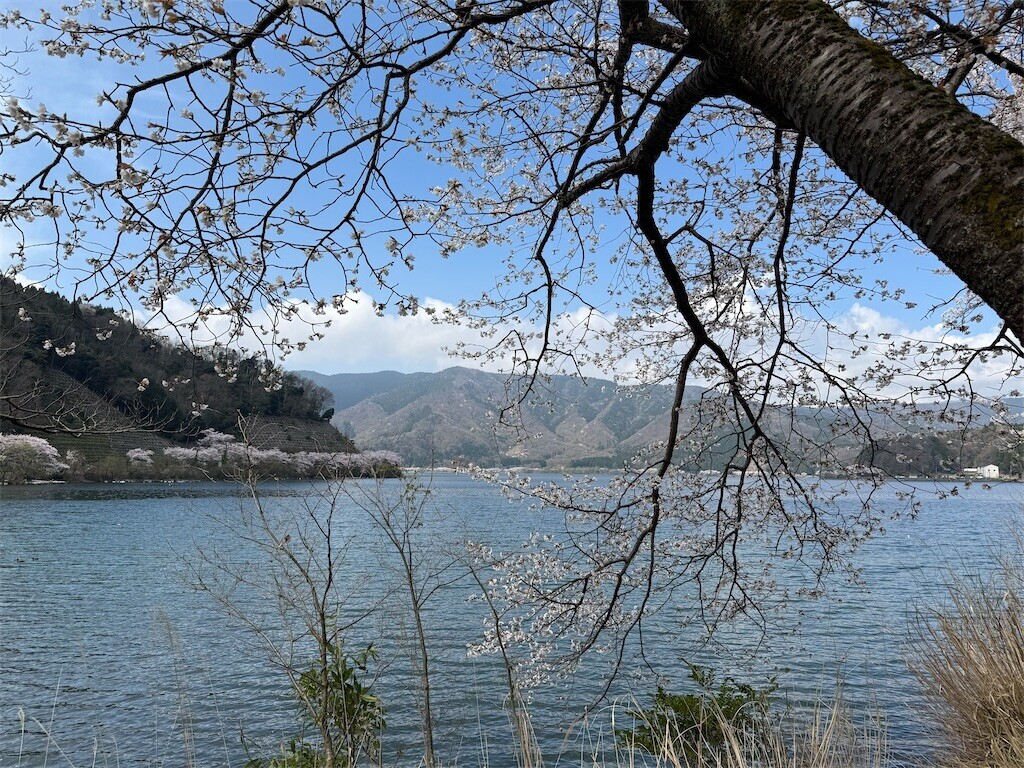 f:id:aladin_a4:20260406232452j:image
