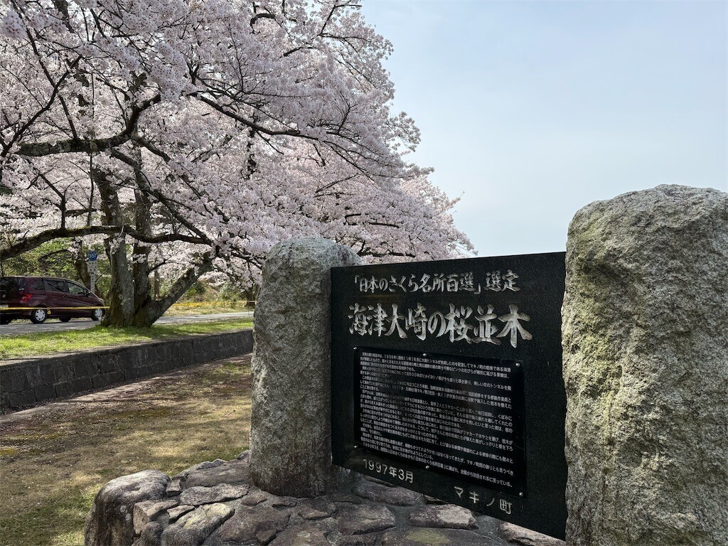 f:id:aladin_a4:20260406232458j:image