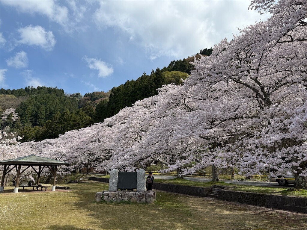 f:id:aladin_a4:20260406232514j:image