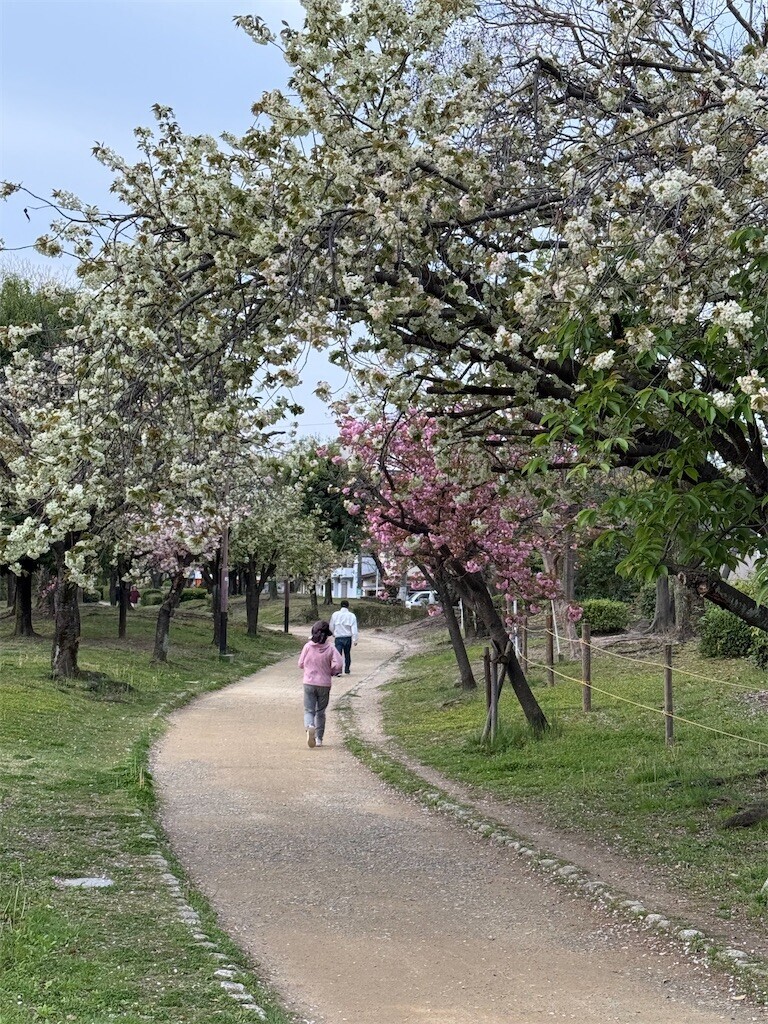 f:id:aladin_a4:20260412192522j:image