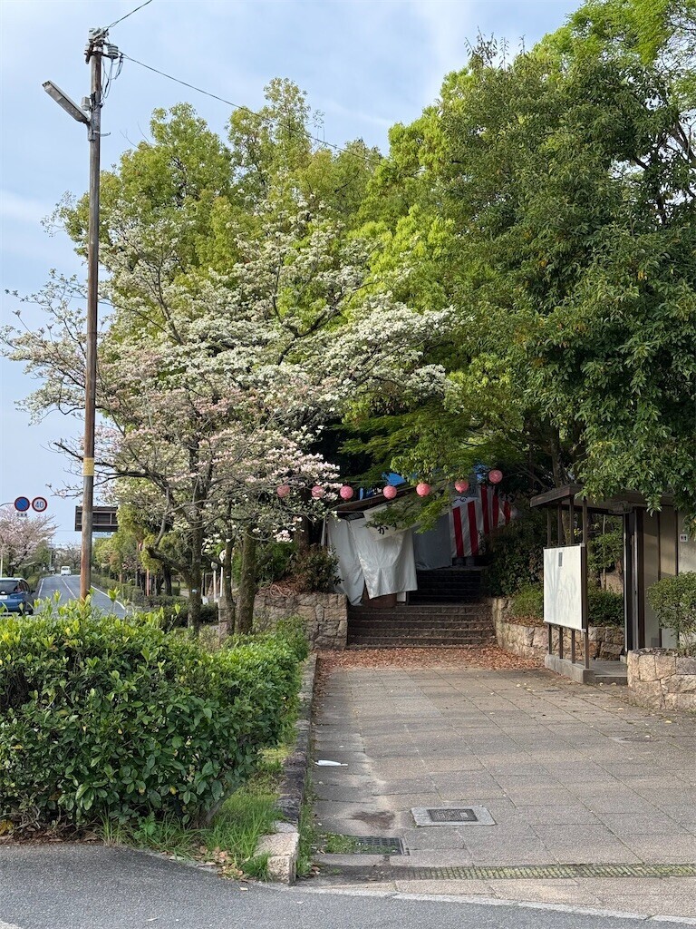 f:id:aladin_a4:20260412192526j:image