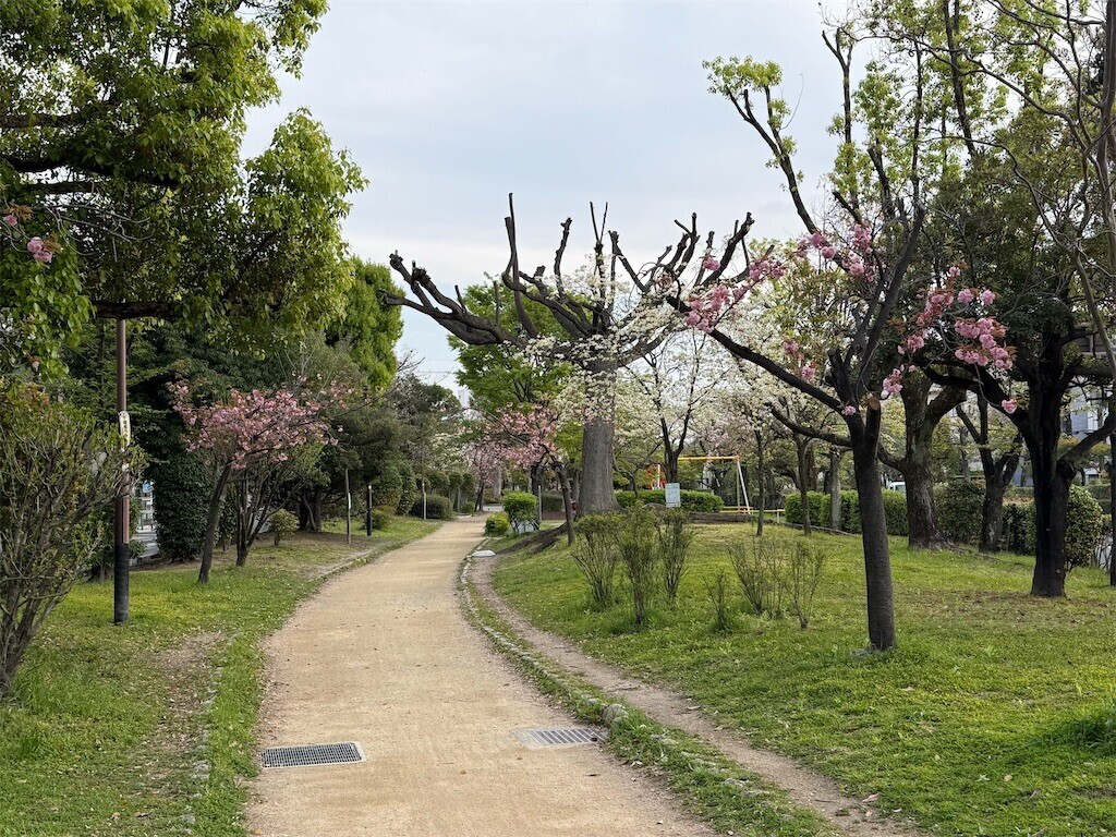f:id:aladin_a4:20260412192537j:image