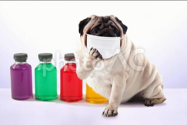 f:id:alakucoco:20210506151920j:plain