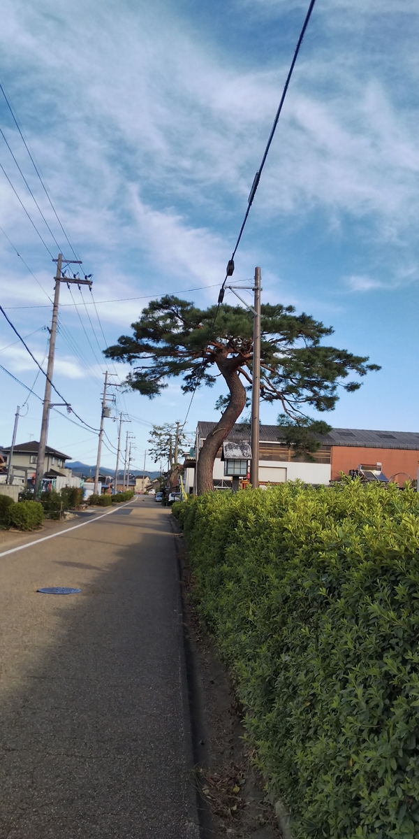 f:id:alasixOsaka:20191009180702j:plain f:id:alasixOsaka:20191009180702j:plain