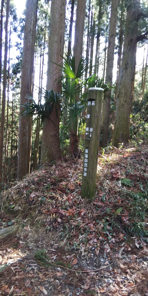 f:id:alasixOsaka:20200211142041j:plain f:id:alasixOsaka:20200211142041j:plain