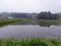 f:id:albatros:20120525184049j:image:medium