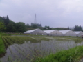 f:id:albatros:20120525184328j:image:medium