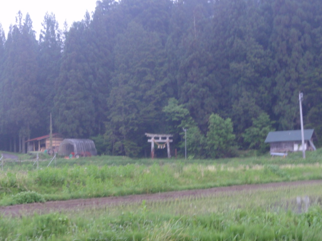 f:id:albatros:20120525184751j:image:w240