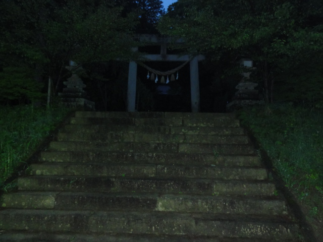 f:id:albatros:20120525191954j:image:w240