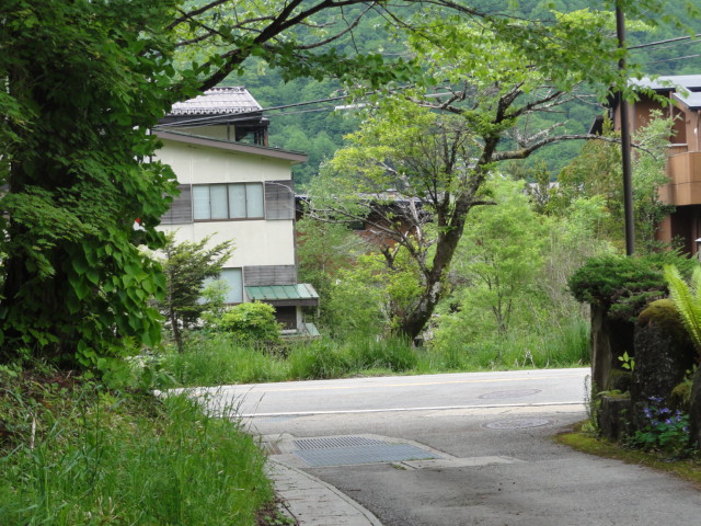 f:id:albatros:20120611131414j:image:w240