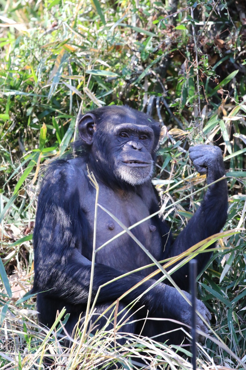 f:id:albatrus:20211223103823j:plain