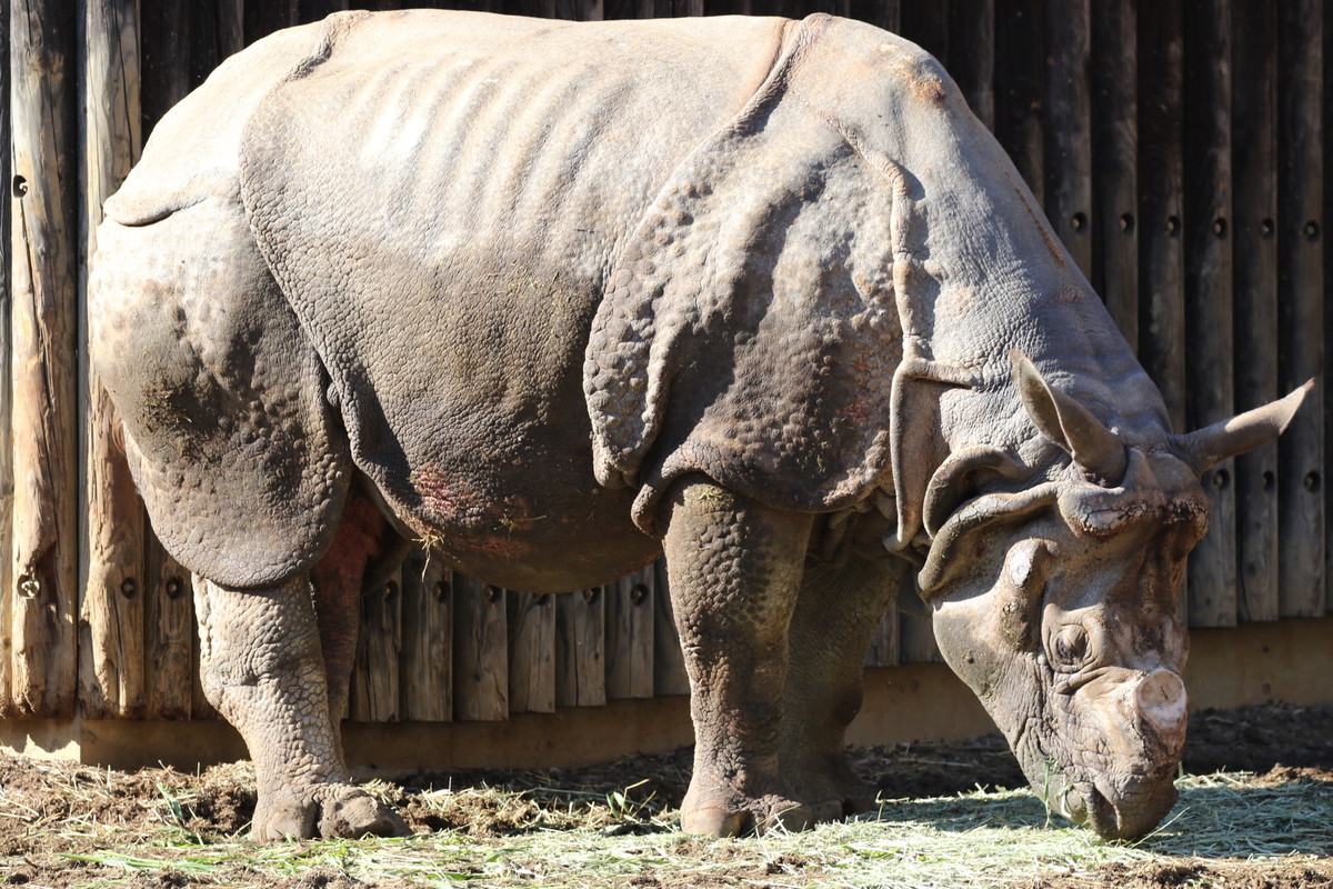 f:id:albatrus:20211223114949j:plain