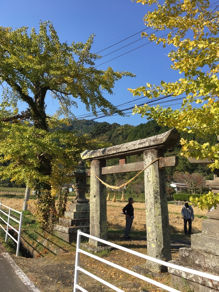 f:id:albertolpu:20181112160738j:plain