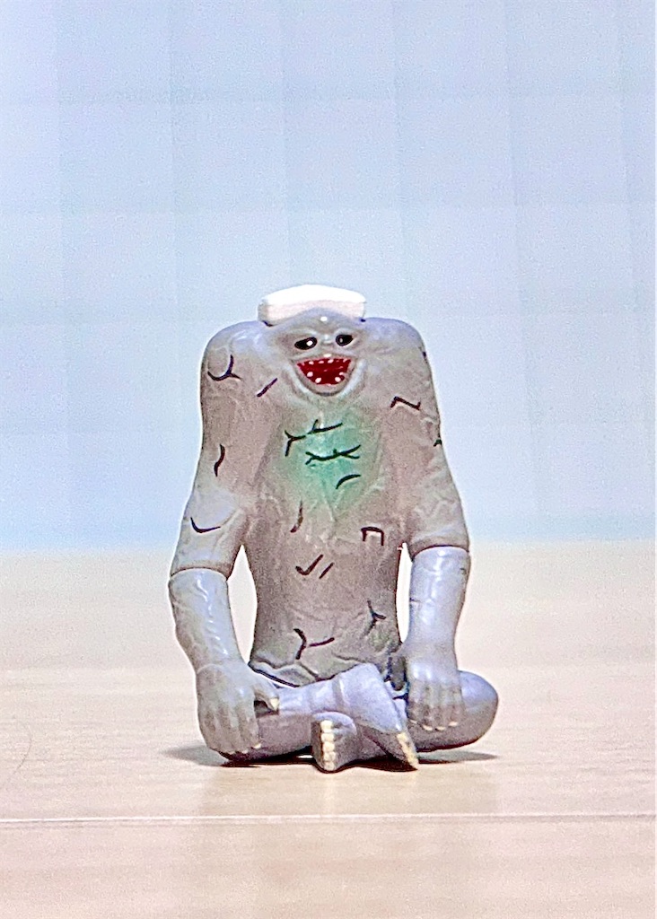 f:id:albireo710:20250129040853j:image